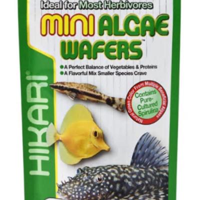 Hikari USA Algae Wafers Sinking Wafer Fish Food 1ea/3 oz, Mini