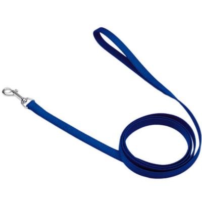 Coastal Single-Ply Nylon Dog Leash Blue, 1ea/5/8 In X 4 ft