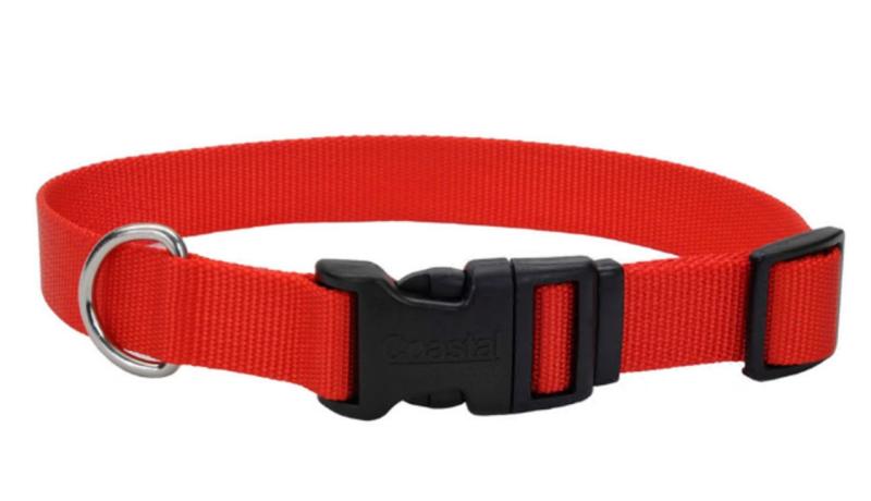 Coastal Adjustable Nylon Dog Collar with Plastic Buckle Red, 1ea/3/4 In X 14-20 in