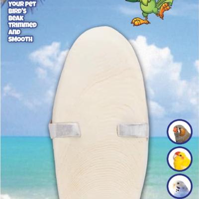 A & E Cages Natural Cuttlebone 1ea/5 in