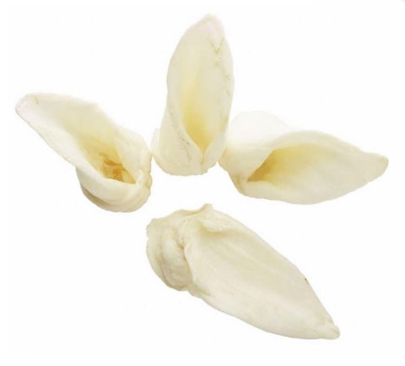 Redbarn Pet Products Lamb Ears Dog Chew
