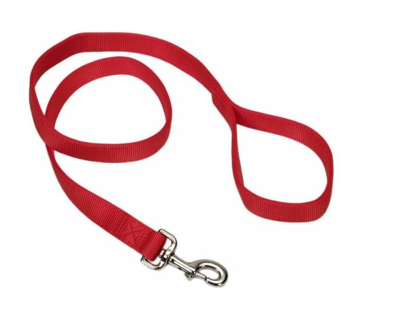 Coastal Double-Ply Nylon Dog Leash Red, 1ea/1 In X 6 ft
